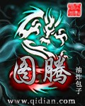 图腾-油炸包子 epub,mobi,txt精校电子书小说,全本校对版,百度云,Kindle,下载,精排